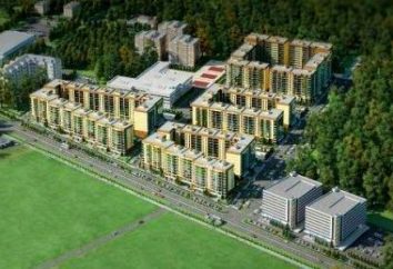 LCD "Nightingale Grove", Kazan nuovi edifici. Descrizione del complesso residenziale e recensioni