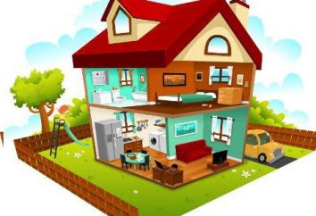 Home improvement – was ist das? Typen, Struktur, Funktion Haushalte
