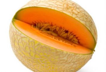 Proprietà di melone. Benefici e danni al corpo