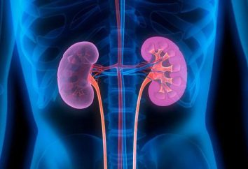 Isostenuria é um sinal de doença renal: causas e conseqüências