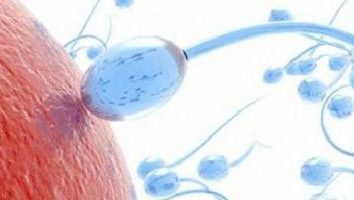 Wo Spermiogramm spenden? Ergebnisse Transkript Analyse