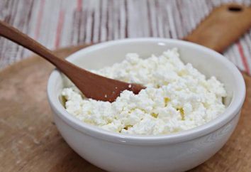 horno macarrones y queso: las mejores recetas