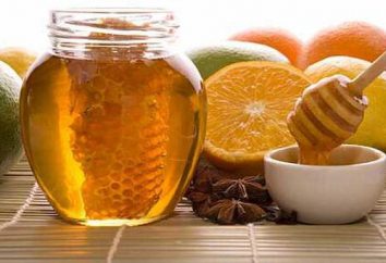 Koriander Honig und seine vorteilhaften Eigenschaften