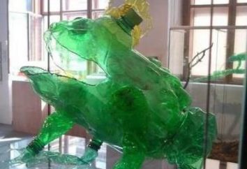 Klasa Master: żaba z plastikowej butelki