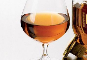 Cognac "Al-Farabi": propriété, prix, avis