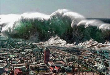 Le plus grand tsunami dans le monde. Quelle est la hauteur du plus grand tsunami dans le monde?