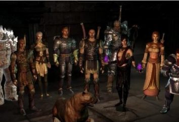 Dragon Age: Origins – pasando y ayudando a dominar el juego