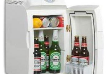 Réfrigérateur dans la voiture: revue, description, commentaires sur les meilleurs modèles