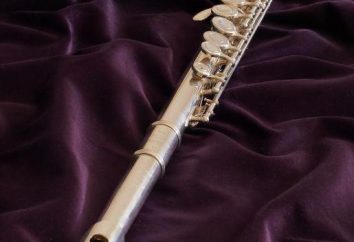 flauto traverso e le sue caratteristiche