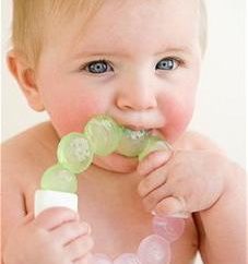 En cuántos meses de la dentición en los bebés?
