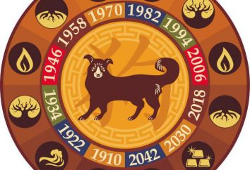 Kompatibilität Schlange und Hund in dem chinesischen Horoskop