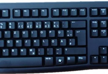 Laptop Keyboard: klucz przydziału. Skróty