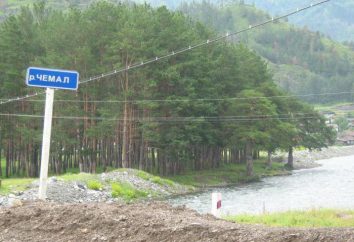 Chemal River, Mountain Altai: description. Reste sur la rivière Chemal