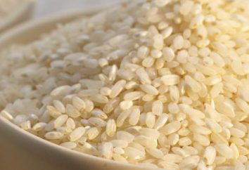 Rice "Arborio": ricette