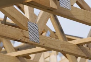 Fixations pour structures en bois: types. Les blindages pour bois