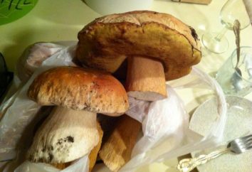 nota Mushroom: é possível ter um cogumelos carcomidos?