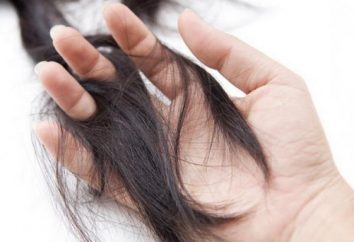 A norma de perda de cabelo, ou quantos fios de cabelo por dia deve cair?