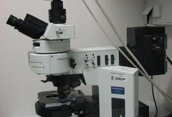 microscopia a fluorescenza: caratteristiche di ricerca