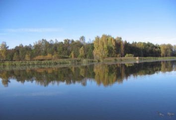 Opis Verhneruzskoe Reservoir, wędkowanie i zdjęcia