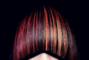 Helle und einzigartige Palette von Haarfarben „Igor“