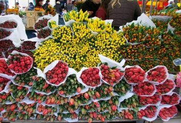 Riga mercado oferece flor