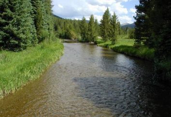 Cómo cambiar los niveles de agua en el río