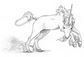 Dotknięcie legendy: Jak narysować Unicorn