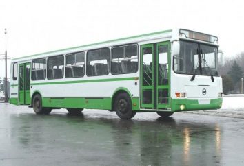 Visão de ônibus LIAZ 5256