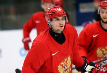 Yegor Yakovlev – giocatore di hockey, che ha un futuro luminoso