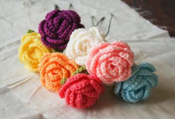 Crochet Rose: le schéma de description. Comment faire un bouquet?