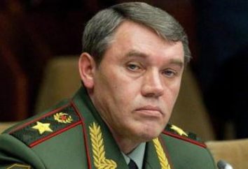 Wiceminister Obrony Federacji Rosyjskiej: nazwiska, tytuły, osiągnięcia