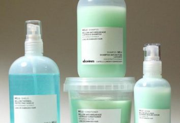 Davines (szampon): skład i opinie
