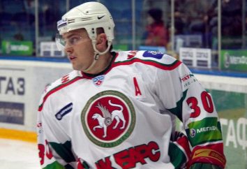 Alexander Stepanov giocatore di hockey: carriera atletica e la biografia