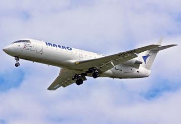 "IrAero" (transport aérien): histoire, flotte, commentaires