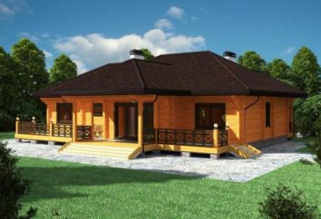 Maisons en chambre de séchage du bois profilé sec: caractéristiques, la technologie d'installation et commentaires
