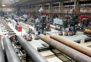 LLC "Impianto di tubi isolanti" a Peresvet