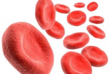 Norma emoglobina nel sangue nei bambini e negli adulti