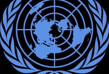 La Convención de las Naciones Unidas contra la Corrupción: la esencia y perspectivas