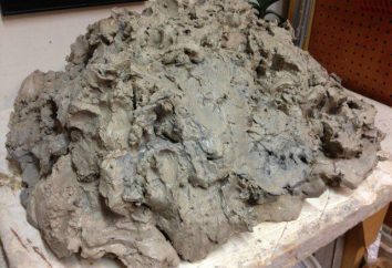 Clay (minéraux): types, propriétés et applications