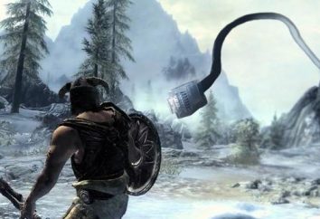 Configuration requise "Skyrim" Review, codes