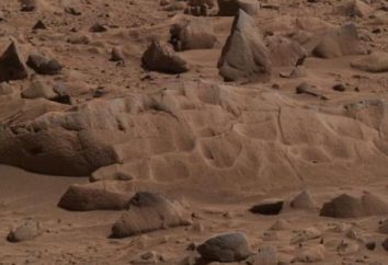 C'è vita su Marte? No, ma è stato