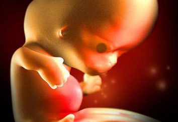 aborto mancato: sintomi durante il primo trimestre. Come fai a sapere circa l'aborto mancato agli ultrasuoni
