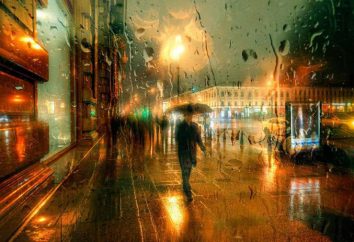 Ces magnifiques « pluie » photos de rues ressemblent à de véritables tableaux!