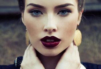 rouge à lèvres prune: types, palette, nuances et commentaires des professionnels