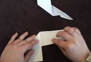 Artykuł pokaże Ci jak to zrobić shuriken papierowe