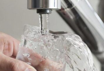 filtro desferrização água para a purificação de água a partir de ferro e impurezas