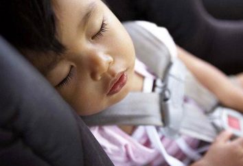 El transporte de un niño en el asiento delantero del coche: las reglas