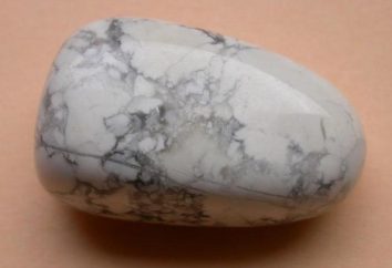 piedra howlite: valor de la propiedad, el uso