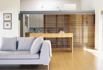 La separación entre la cocina y sala de estar – solución con estilo