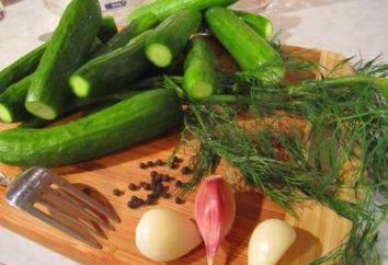 Pepino salado. recetas de cocina rusa